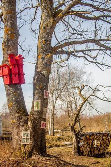 Фото номера Дом для отпуска Гостевой дом Mesi Tare Guesthouse г. Varnja 68